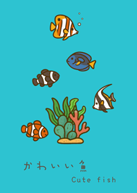 My marine fish(mint blue)