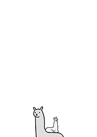 Alpaca and baby alpaca 3