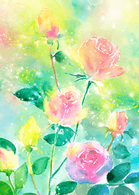 Beautiful rose flower(R2111)