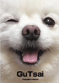 GuTsai (White Hiromi)