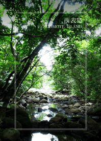 Japanese landscape - Iriomote Island