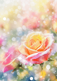 Beautiful rose flower(R1607)