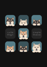 DOGS - shiba inu - CLASSY BLUE