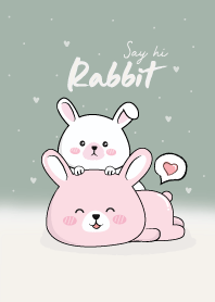 Say hi! Rabbit.