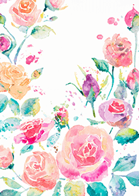 Beautiful rose flower(R4419)