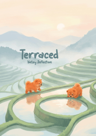 Terraced Valley Reflection