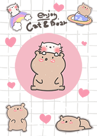 Enjoy cat & bear