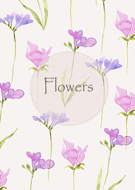 The scent of flower that sway lightly23