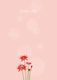 September's birth flower, Spider Lily