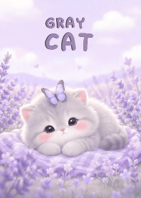 Kawaii Gray Cat In Lavender
