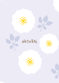 round white flowers leaves9 from Japan