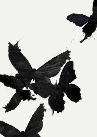 butterfly and butterfly