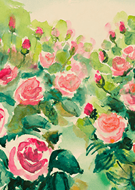 薔薇(バラ)の花の着せかえ(R4677)