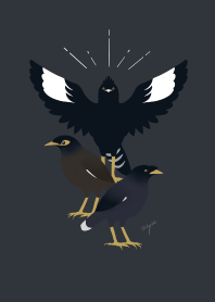 Black bird brothers