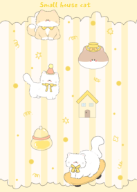 Small house cat3