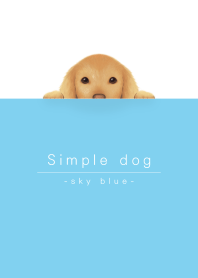 犬とシンプル スカイブルー