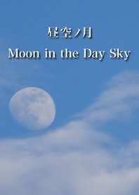 Moon in the Day Sky