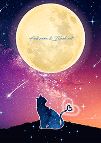 幸運をもたらす✨満月と黒ネコ