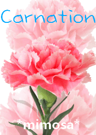*Flower* Carnation #03-9