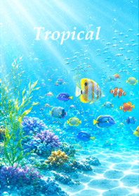 Happy tropical sea5.