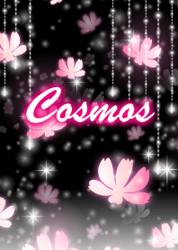 Cosmos-black&pink