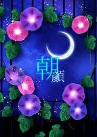 朝顔-Asagao