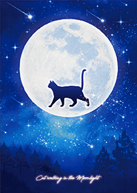 Cat walking in the moonlight 5