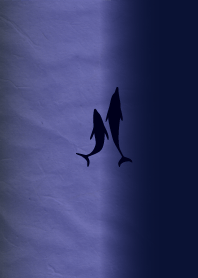 Blue seas and dolphins