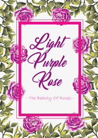 淺紫色的玫瑰