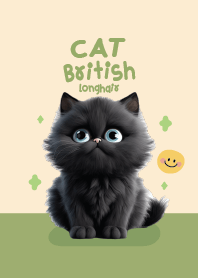 Cat black : british longhair (green)
