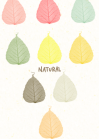 Various leaves colorful3