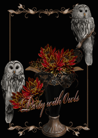 Party with owls