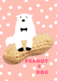 Peanut x Dog