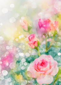 Beautiful rose flower(R2684)