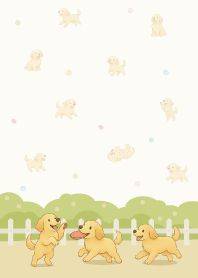 Golden Retriever playing in the garden22