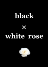 black and white rose
