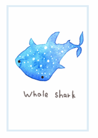 Whale sharks will heal you1.
