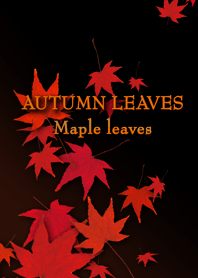AUTUMN LEAVES 紅葉