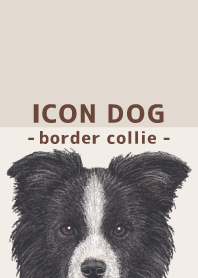 ICON DOG - Border Collie - BROWN/01