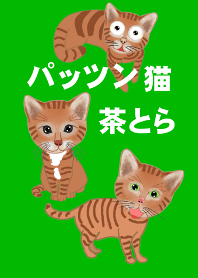 Theme of tea tiger cat 