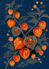 Japanese Summer - Ground cherry 2