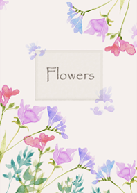 The scent of flower that sway lightly25.