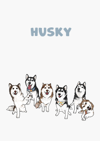 husky1 / white