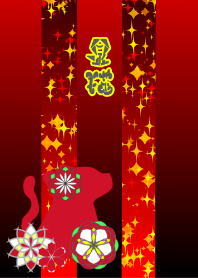 Star flower cat