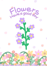 blooming flowers v.purple