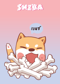 เบนซ์ ใครไม่บะ ชิบะ 4 V11