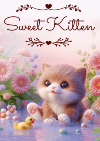 Sweet Kitten No.427