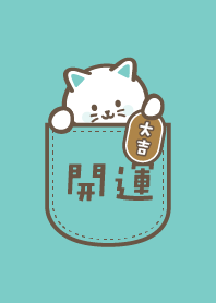 Lucy Cat in Pocket / Mint ver.