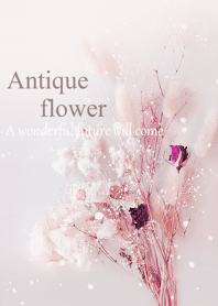 World of Antique Dried Flower18.