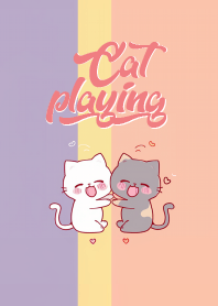cat couple are playing